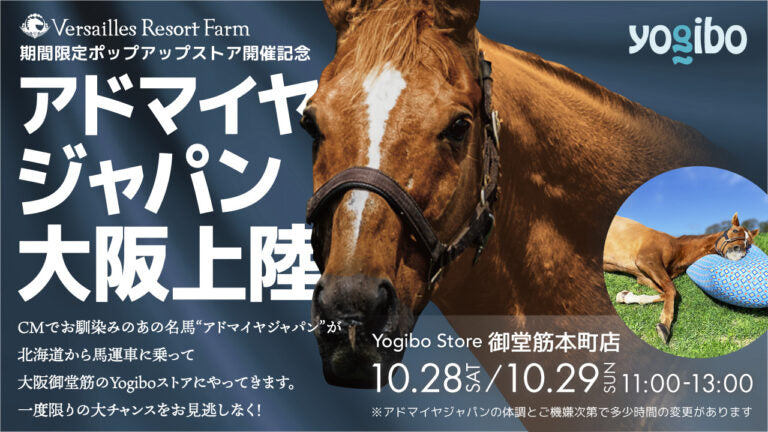 公式】【大阪御堂筋本町店に馬登場】アドマイヤジャパンがYogibo Store