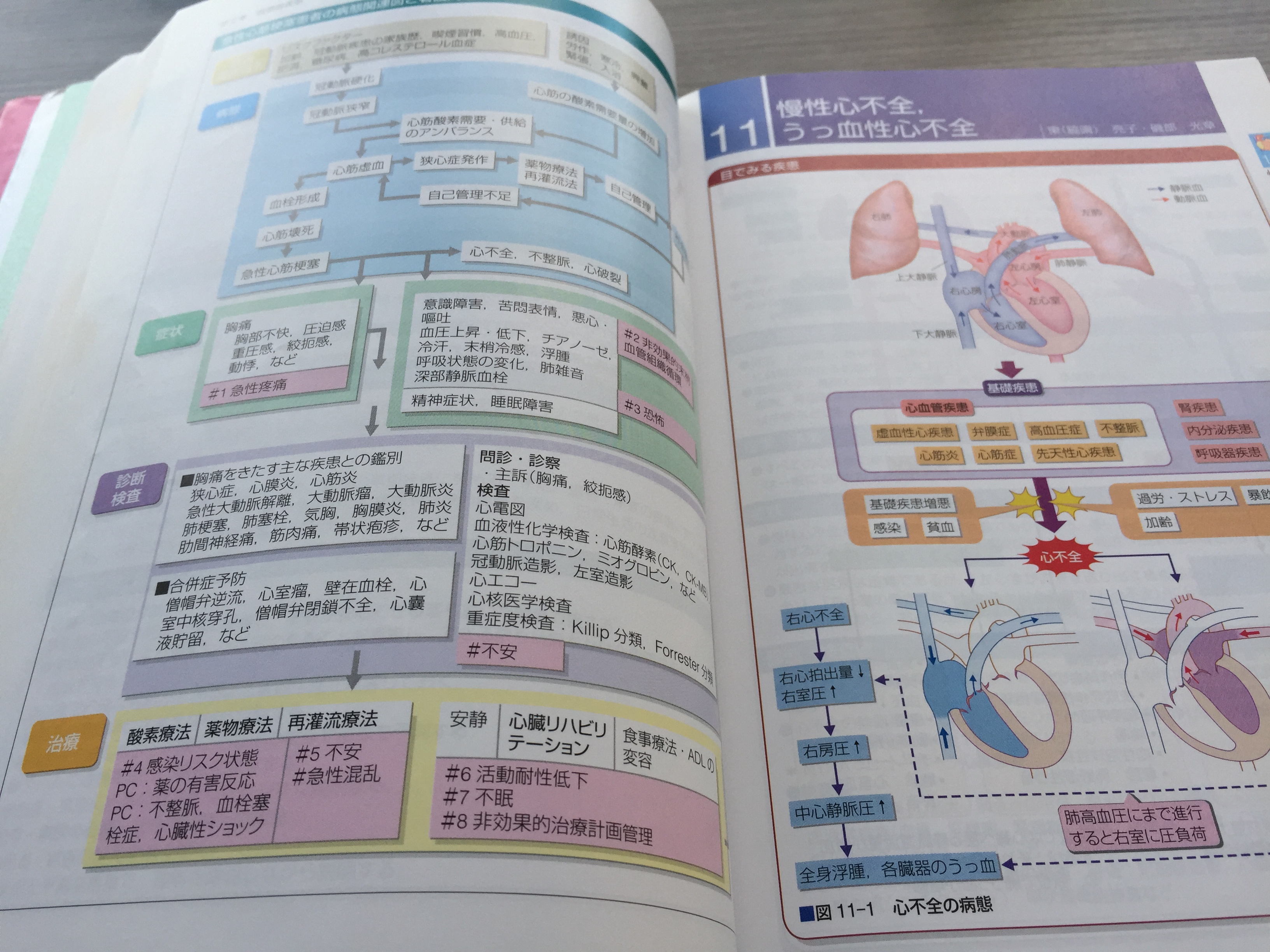 看護実習で使える関連図おすすめ本〜病態関連図編〜｜「デキる看護師に