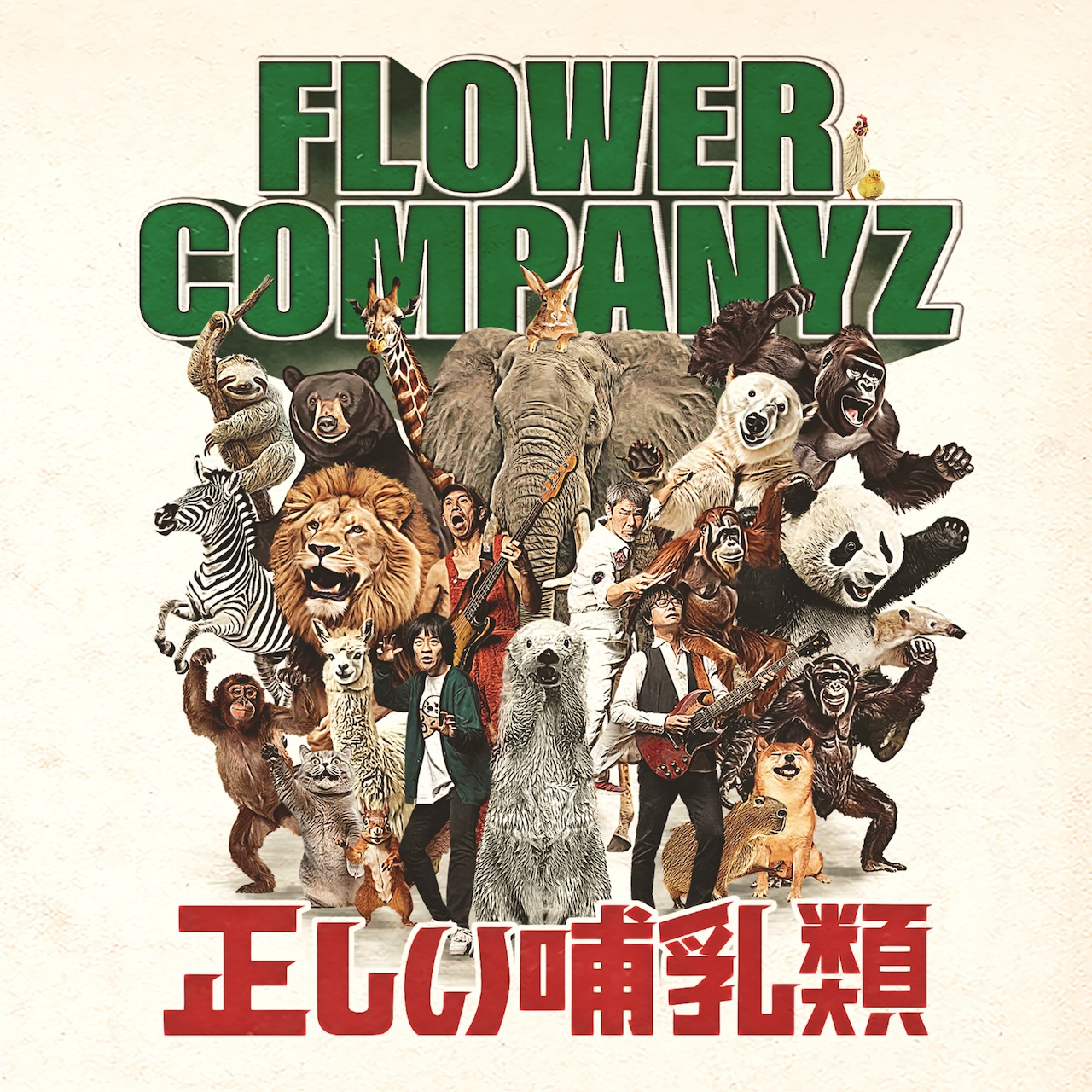 RELEASE INFO】フラワーカンパニーズ - 20th album『正しい哺乳類