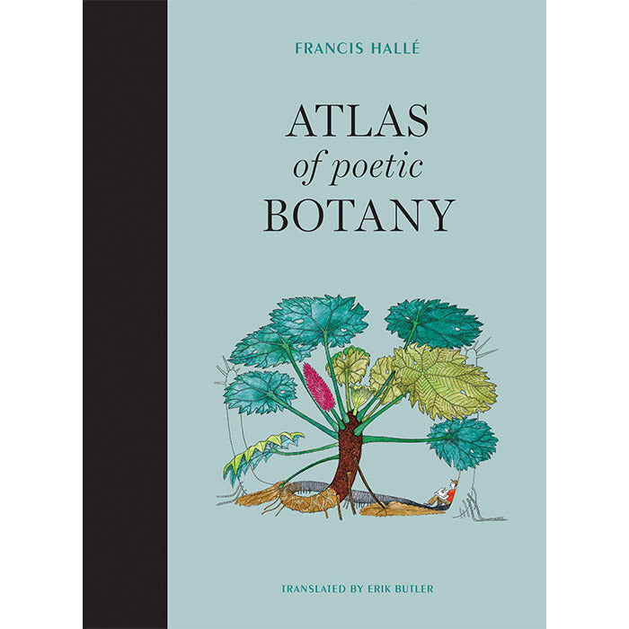 Atlas of Poetic Botany - Francis Halle – 50 Watts Books