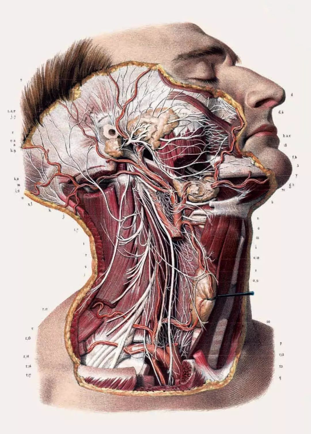 924b812eb334433d8c546d0447f455