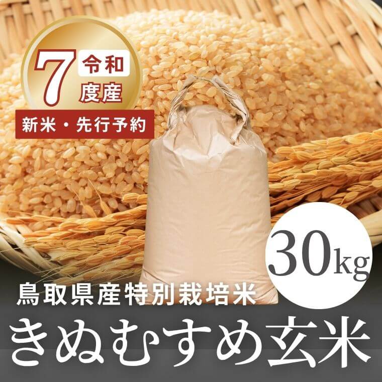 令和7年度産は完売しました）【早期予約】鳥取県産 特別栽培米 きぬ