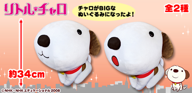 リトル・チャロBIGぬいぐるみ｜エスケイジャパン