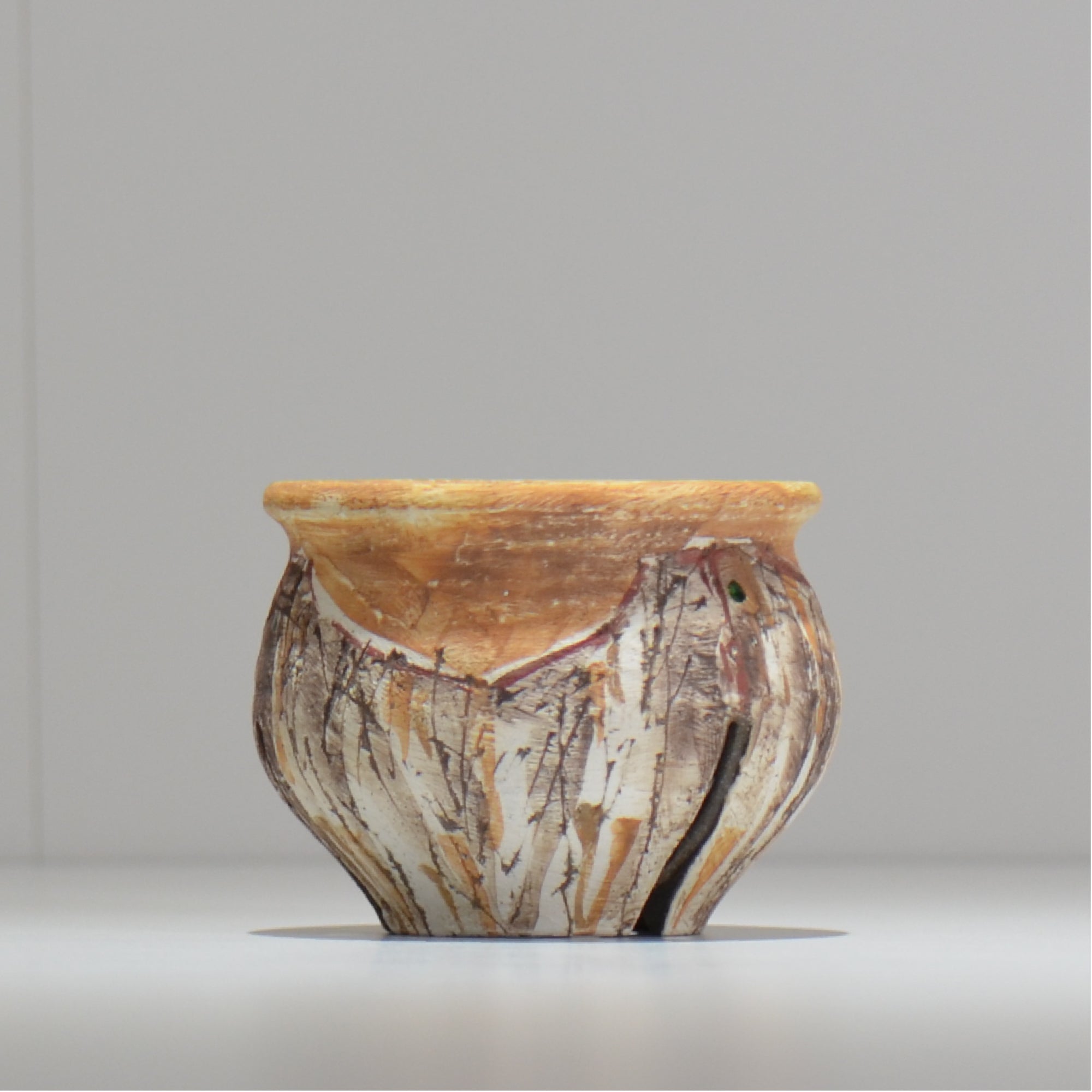 沼野秀章 / 刻ム音 / 5号 新品未使用 アガベ グラキリス 沼野秀章 / 刻