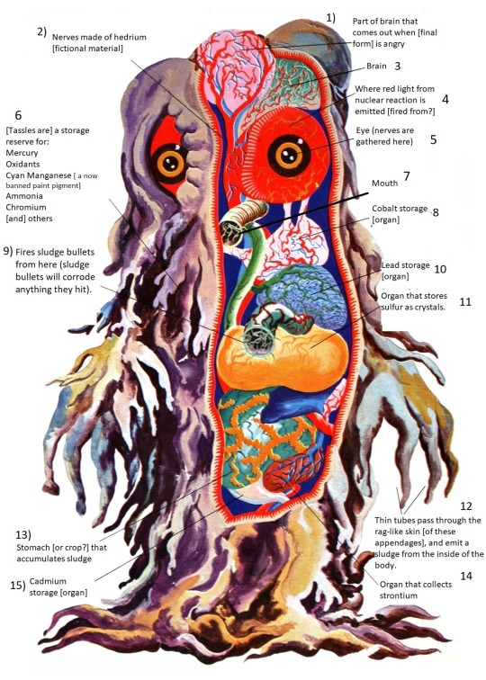 Pic 1 A translated scan of anatomical diagram of Hedorah. It was