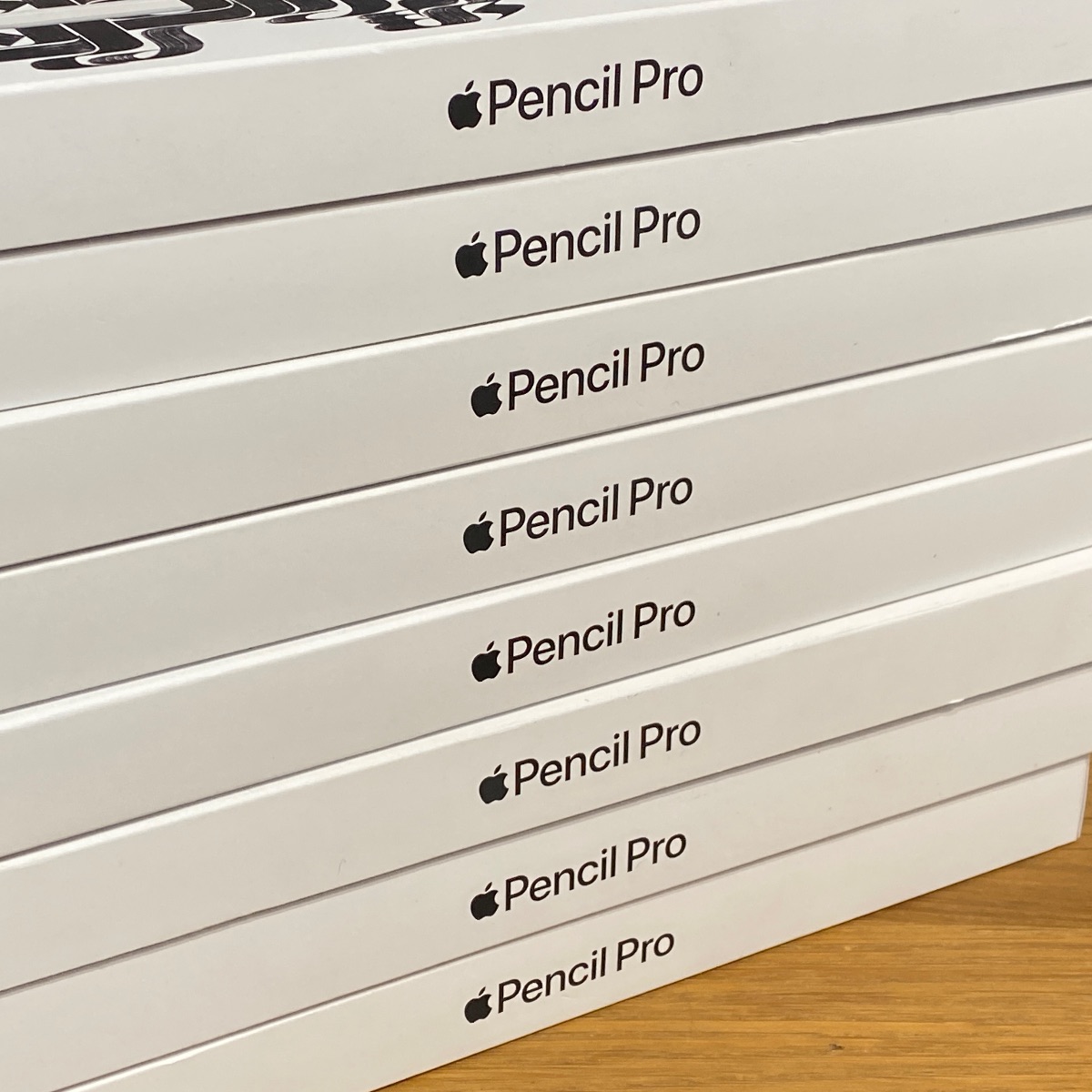 Apple Pencil Pro iPad 13