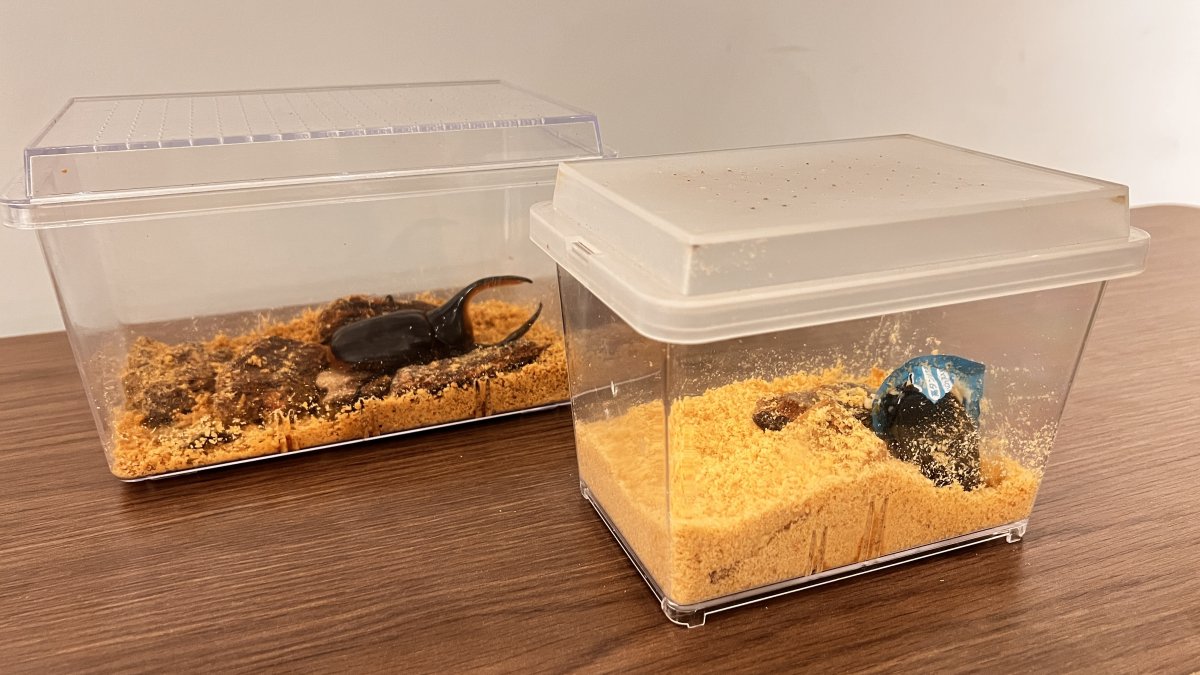 クリアスライダー ラージ 20個セット（中古・仕切り付き） クリア