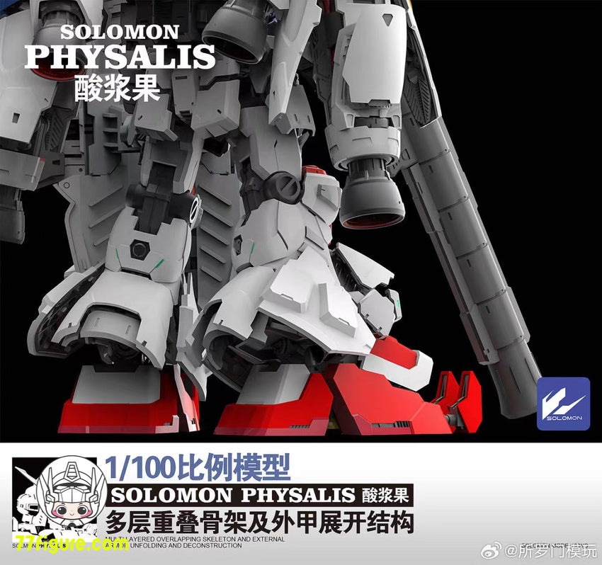 ソロモン Solomon 1/100 MG RX-78GP02A ガンダム試作2号機 サイサリス