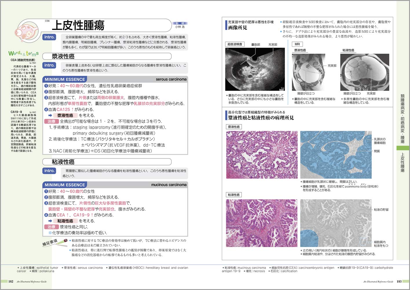 病気がみえる vol.9 婦人科・乳腺外科 第4版 婦人科・乳腺外科 通販