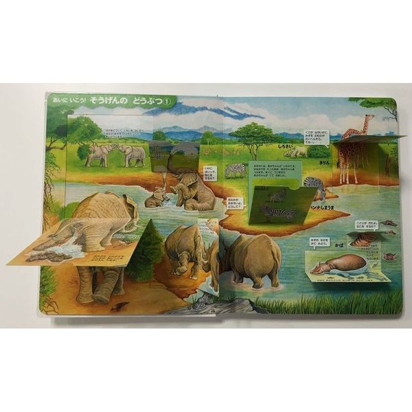 はっけんずかんどうぶつ 改訂版 通販｜セブンネットショッピング