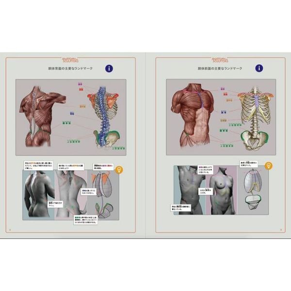 スカルプターのための美術解剖学 通販｜セブンネットショッピング