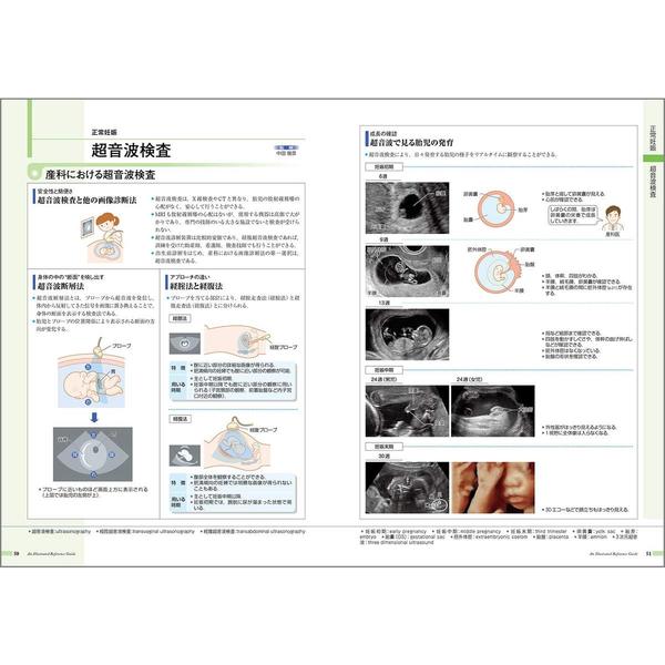 病気がみえる vol.10 産科 第4版 産科 通販｜セブンネットショッピング