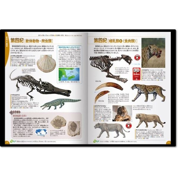 学研の図鑑LIVE 古生物 通販｜セブンネットショッピング