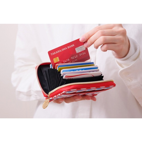 イトーヨーカドーたっぷりカードが収納できるミニ財布BOOK 通販