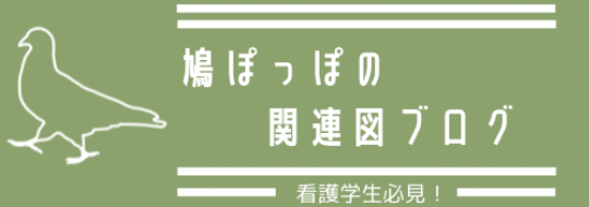 看護学生】関連図の書き方～基本的な手順と解説～ | 鳩ぽっぽの関連図