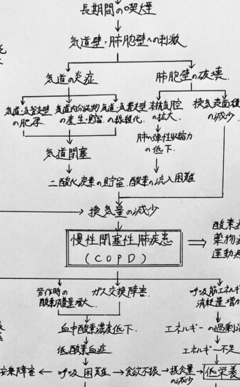 看護学生】関連図の書き方〜アセスメントの活かした書き方〜 | 鳩