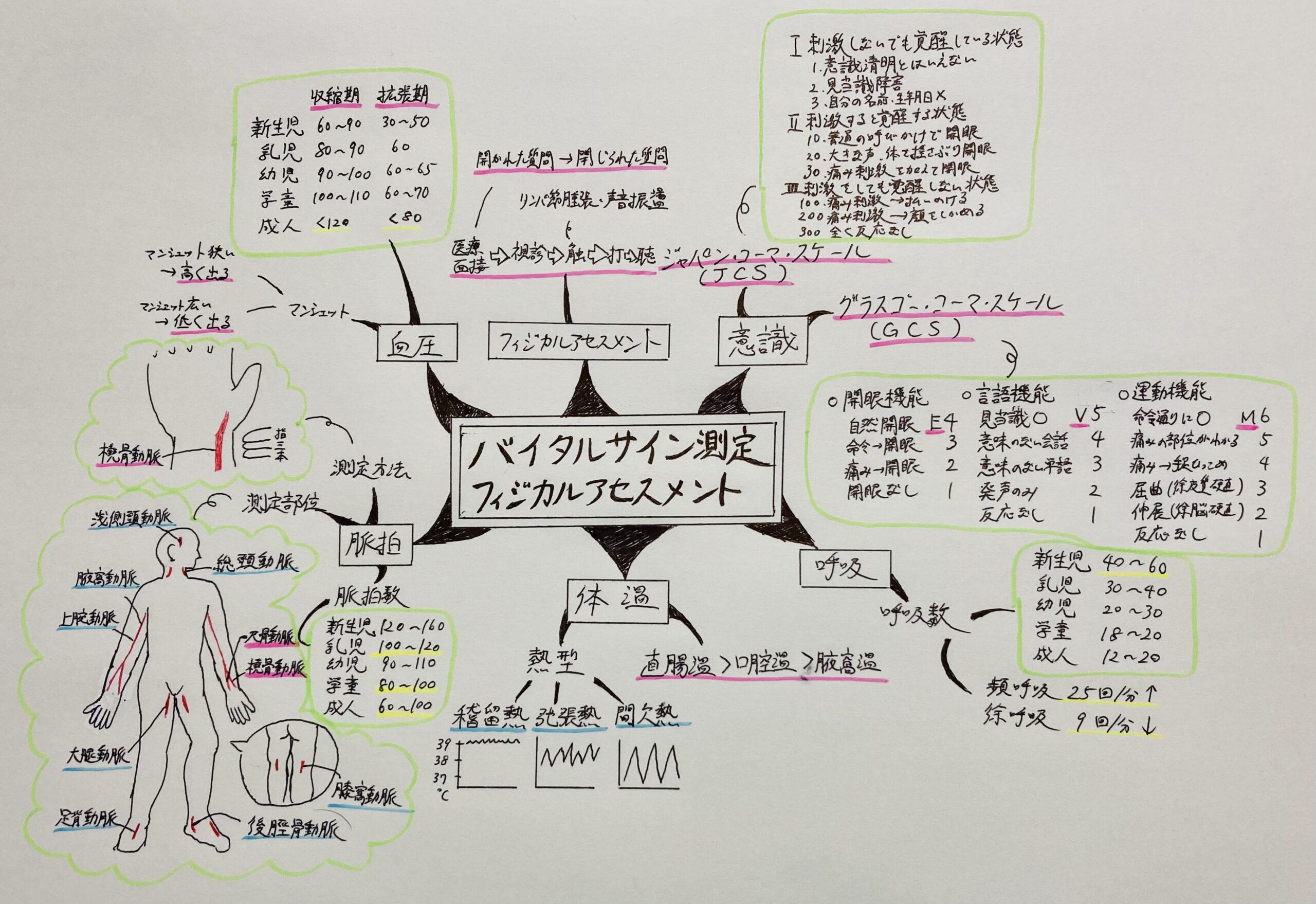 専用 看護学生 看護学校 手順書 関連図 パンフレット 周手術期 急性期 国