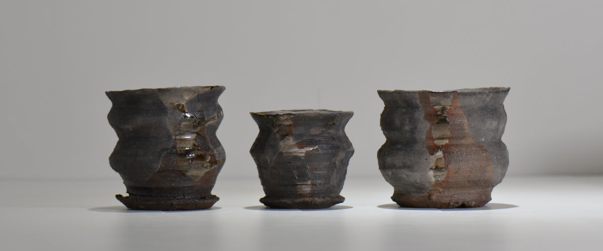 塊根植物・観葉植物の植木鉢専門店 「HACHILABO - ハチラボ- 」