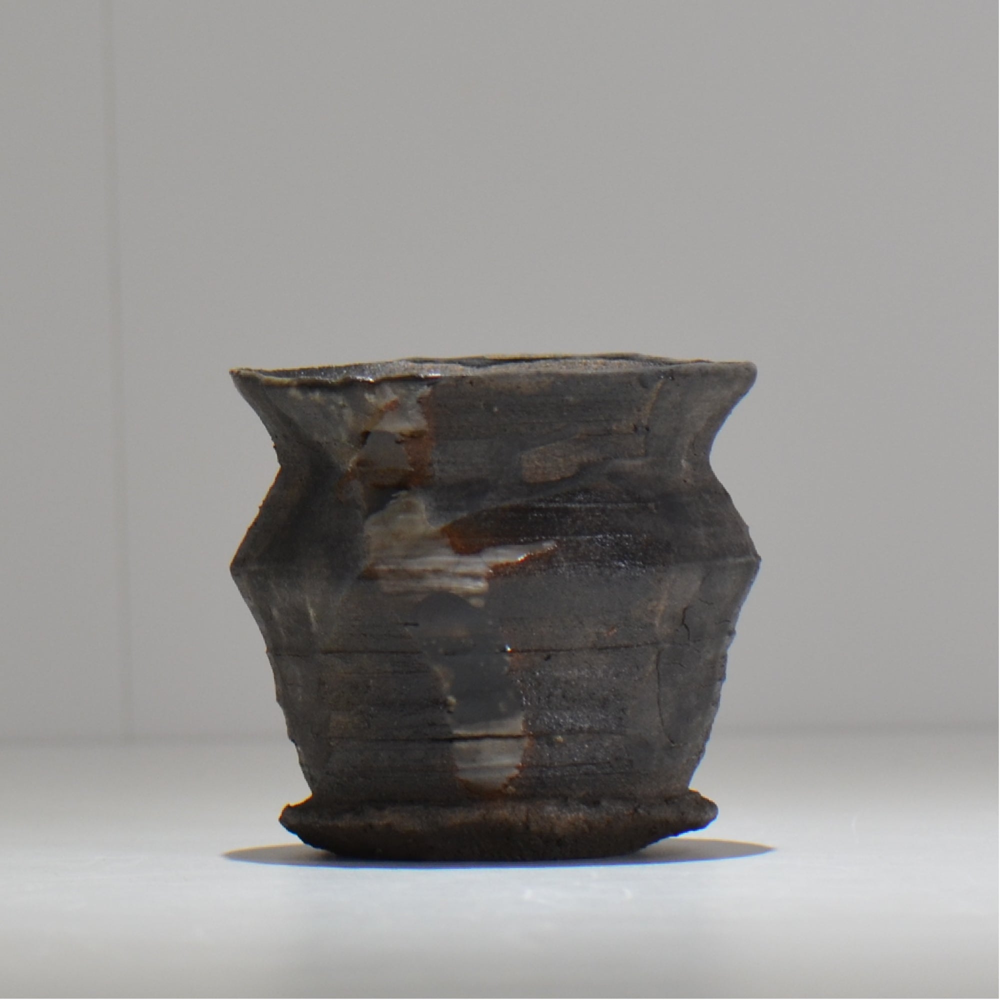 塊根植物・観葉植物の植木鉢専門店 「HACHILABO - ハチラボ- 」