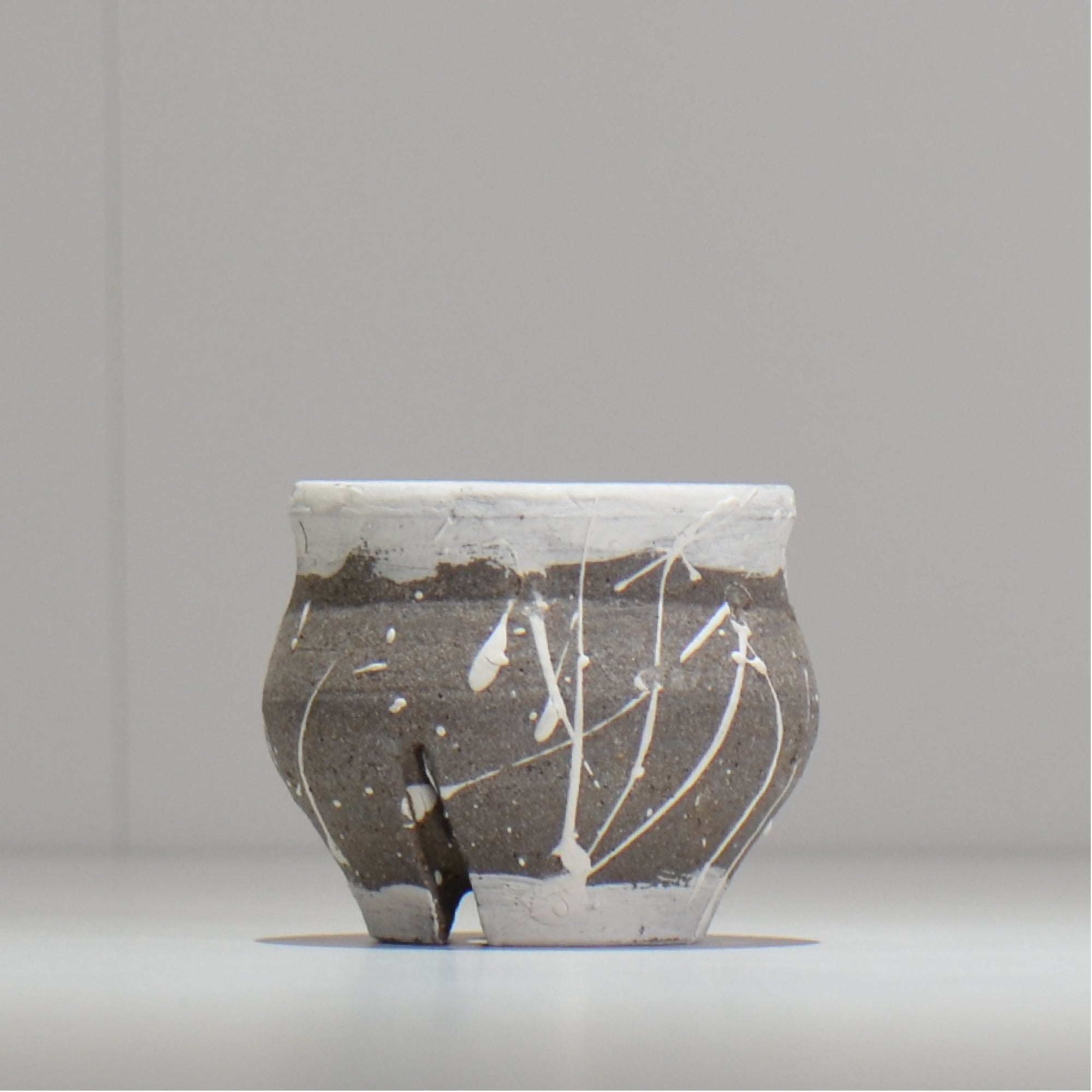 沼野秀章 / 刻ム音 / 5号 新品未使用 アガベ グラキリス 沼野秀章 / 刻