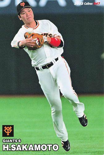 ミントモール / MINT BASE店 (TCシングル通販) / 2023 カルビー プロ