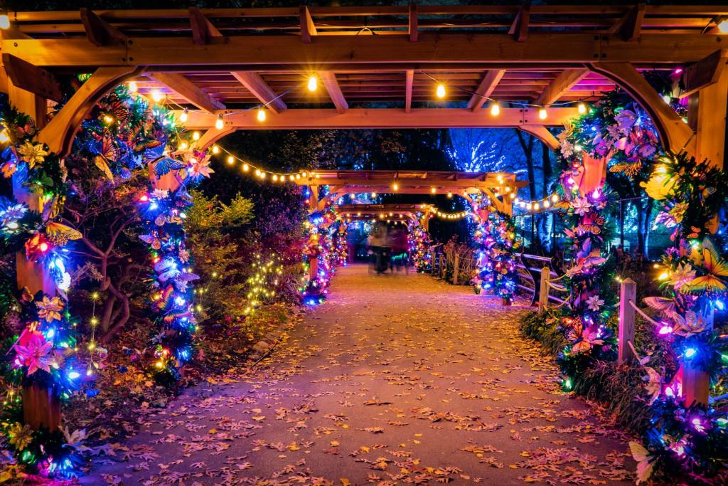 LumiNature at the Philadelphia Zoo Lights Up This November - 92.5 XTU