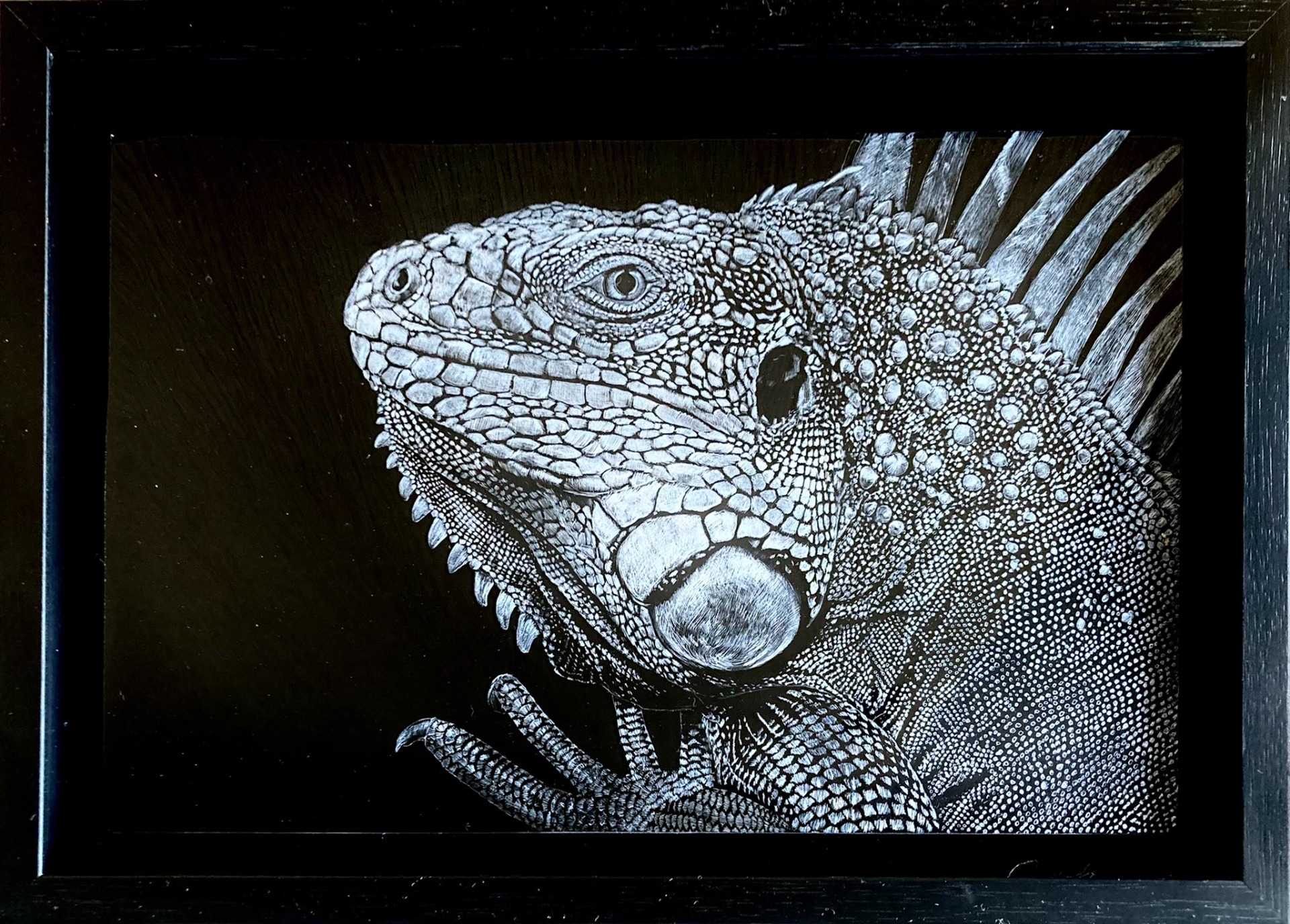 Monochrome -iguana
