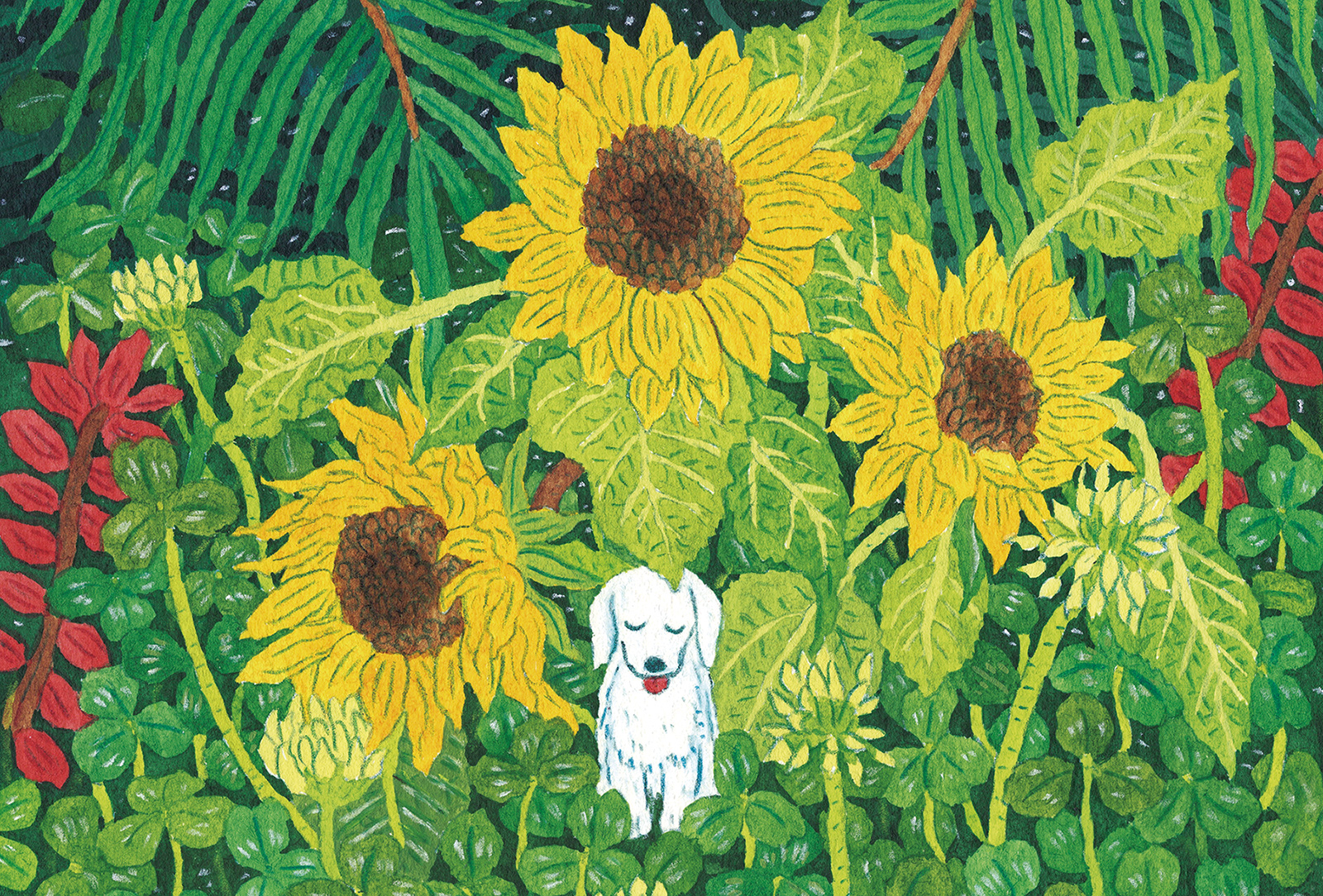 中村一般 個展 まもりばな | GALLERY IRO | 吉祥寺のギャラリー