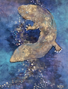 波賀野文子 個展 -オオサンショウウオ 春待つ日々- | GALLERY IRO