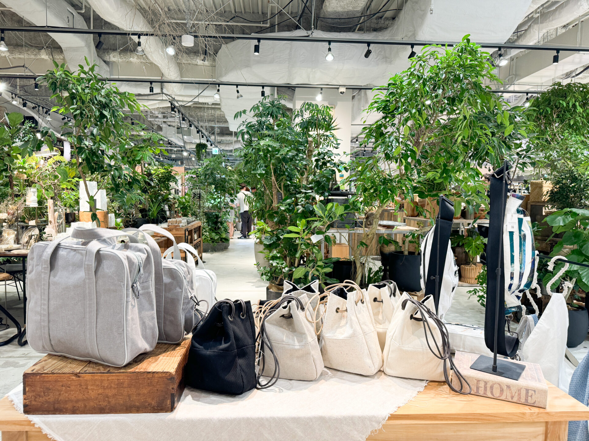 さんちギャラリー】「Teatrino-テアトリーノ」さんのPOPUPがスタート