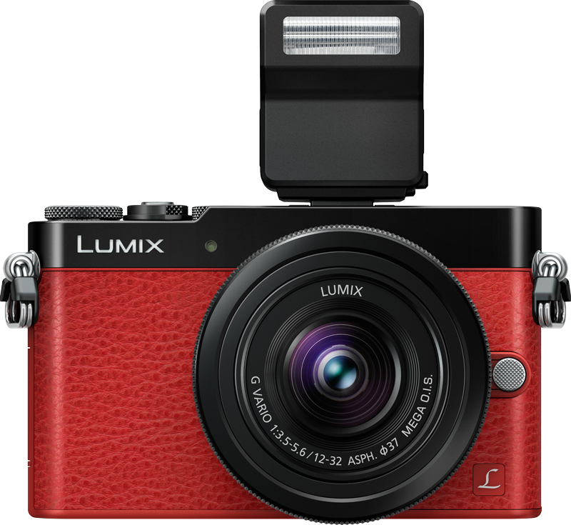 Panasonic unveils Lumix DMC-GM5 with EVF: DPReview | Photography