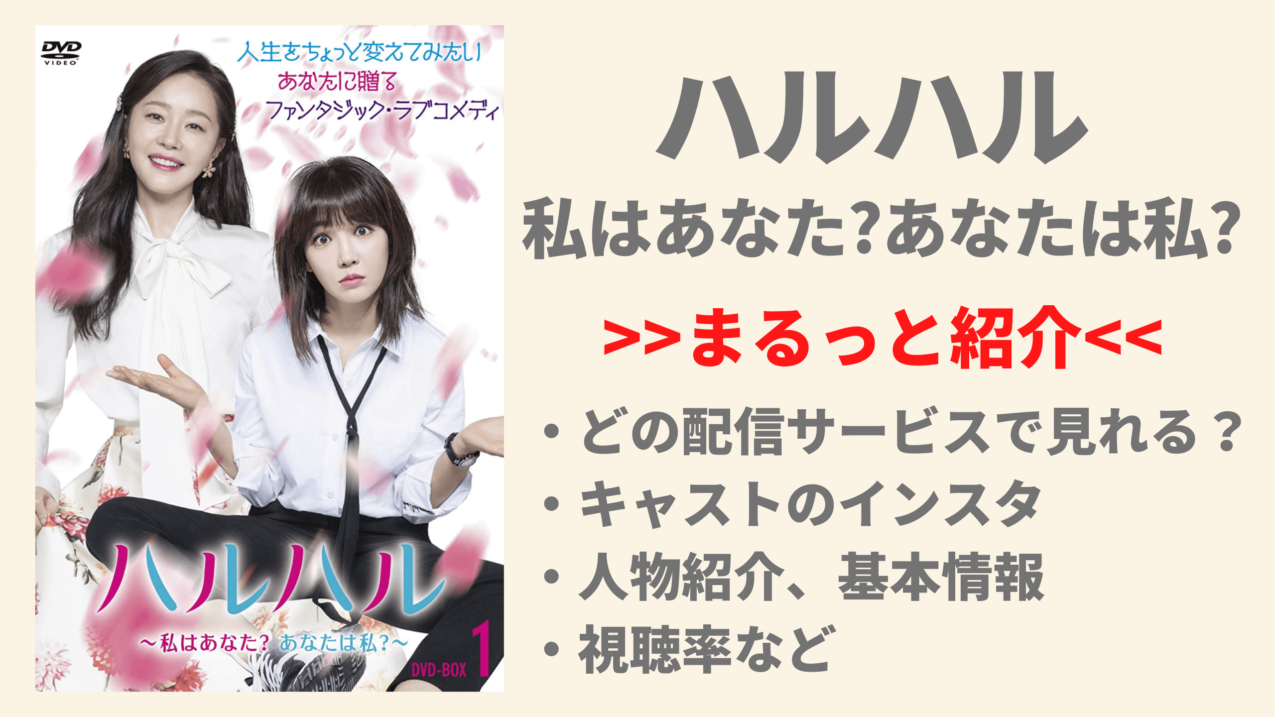 韓国ドラマ【ハルハル ~私はあなた?あなたは私?】視聴できる配信