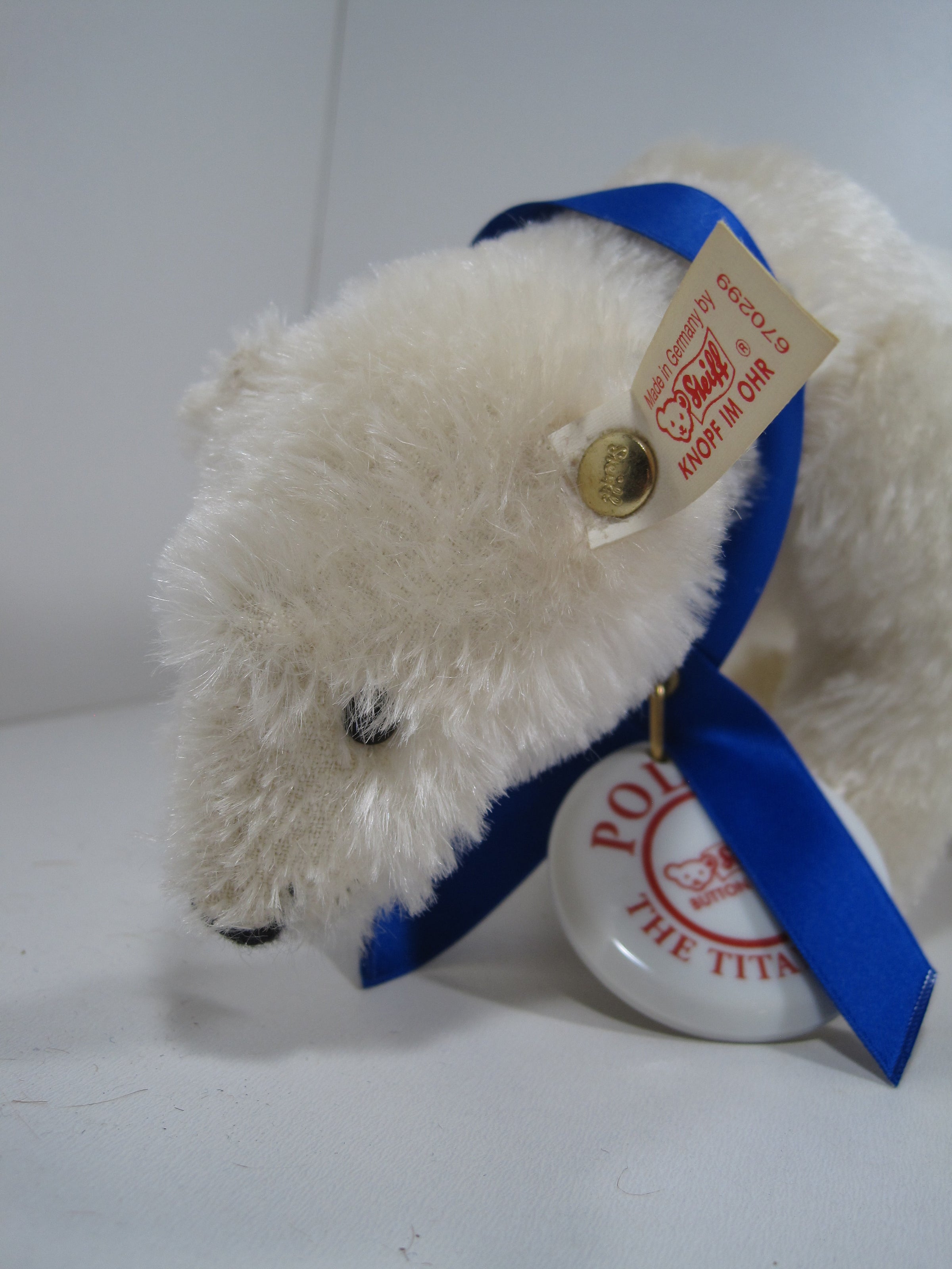 Steiff Polar The Titanic Bear With All IDs | My Site