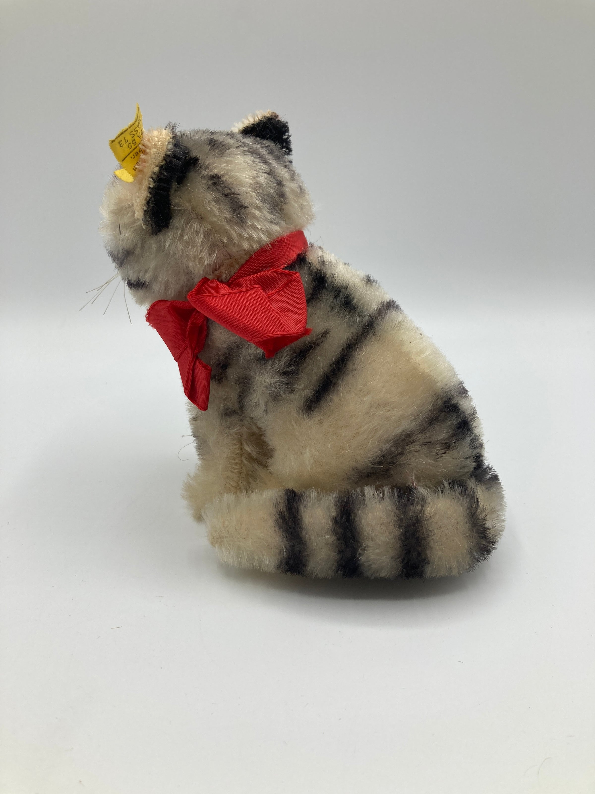 Steiff Medium Sitting Susi Cat With All IDs | My Site