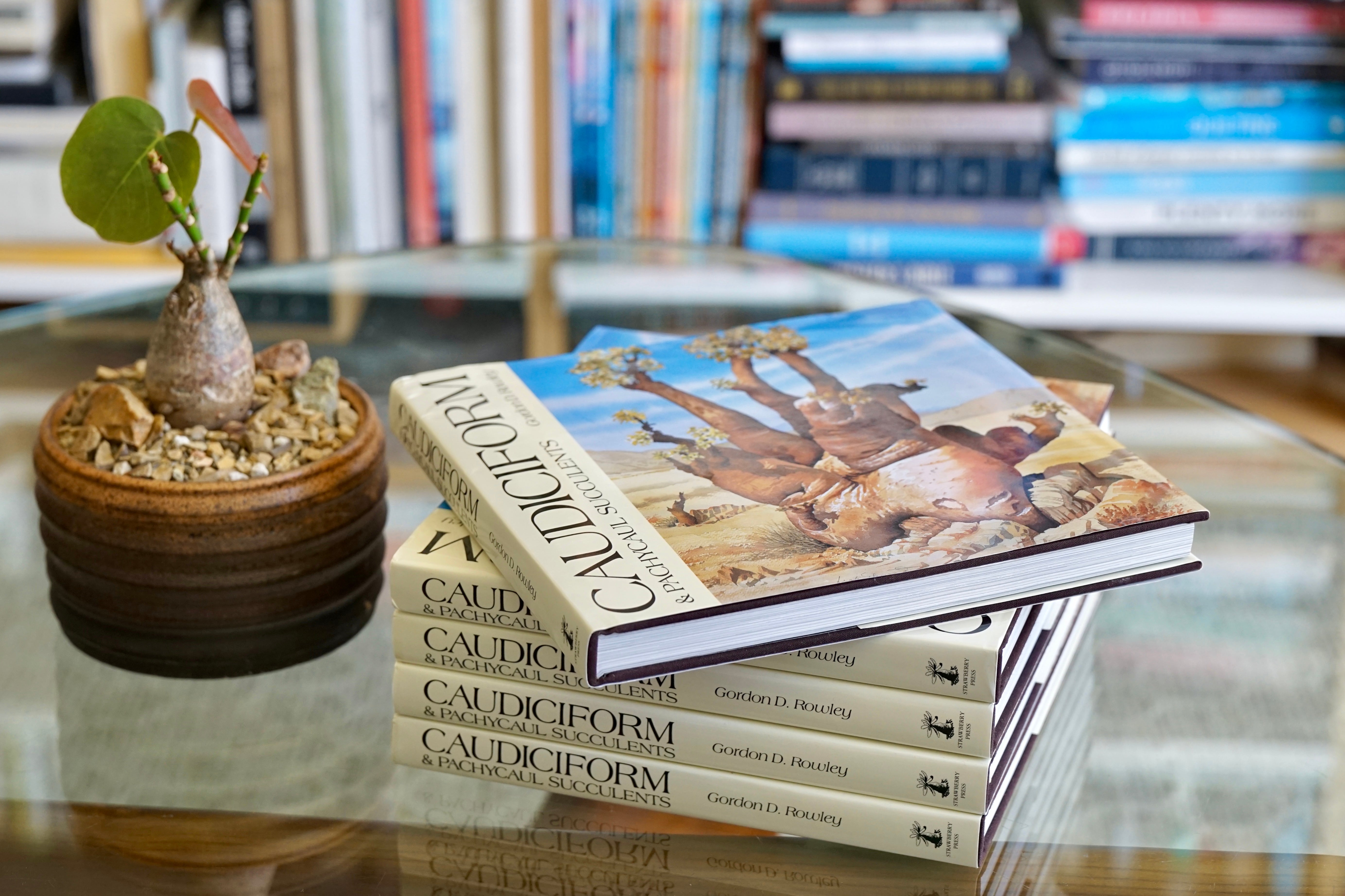 Caudiciform and Pachycaul Succulents - Gordon Rowley