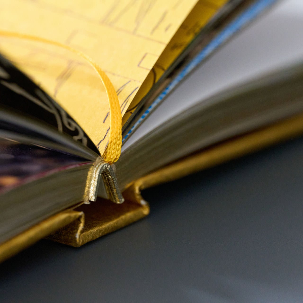 尾田栄一郎 『ONE PIECE ONLY / 4C』（展覧会公式図録） | Shueisha