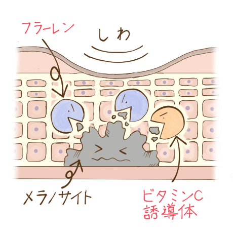 レ・ヴィア シュシュ オーロラクリーム｜株式会社ファースト