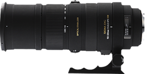 Sigma APO 150-500mm f/5-6.3 DG OS HSM: DPReview | Photography News