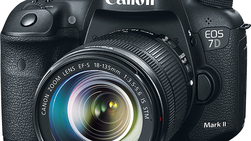 HR_7D_MARKII_EFS18-135_3Q_CL.png