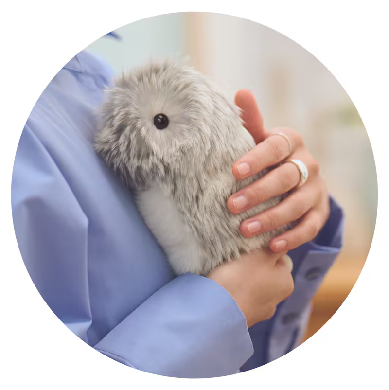 レンタル] カシオ CASIO Moflin モフリン AIペットロボット シルバー