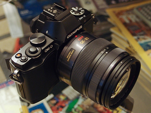 Panasonic Lumix G X Vario 12-35mm F2.8 ASPH Power OIS Preview