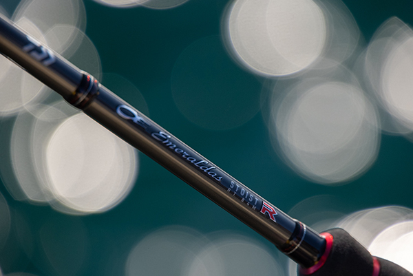 エメラルダス ストイスト RT IL（インターラインモデル）(ロッド)｜DAIWA