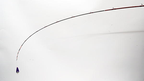 リーディング MG(ロッド)｜DAIWA