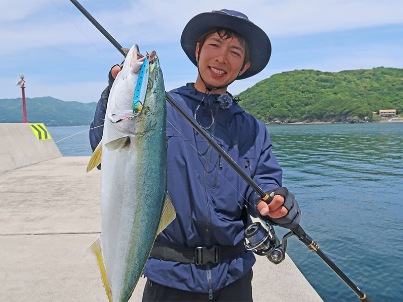 ラテオ(ロッド)｜DAIWA