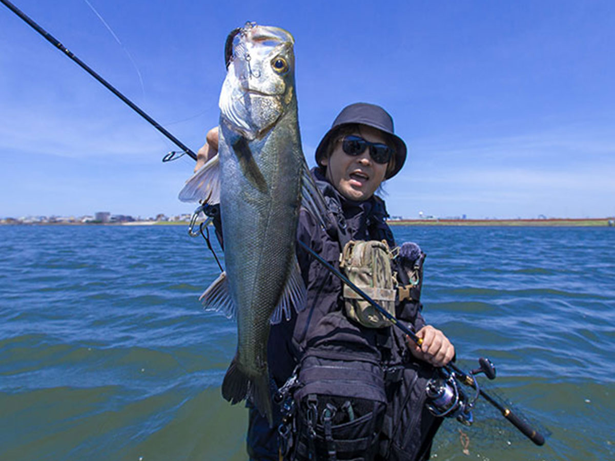 ラテオ(ロッド)｜DAIWA