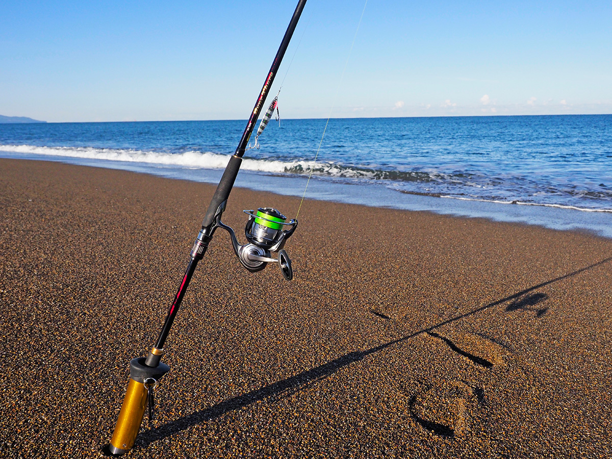 オーバーゼア EX(ロッド)｜DAIWA