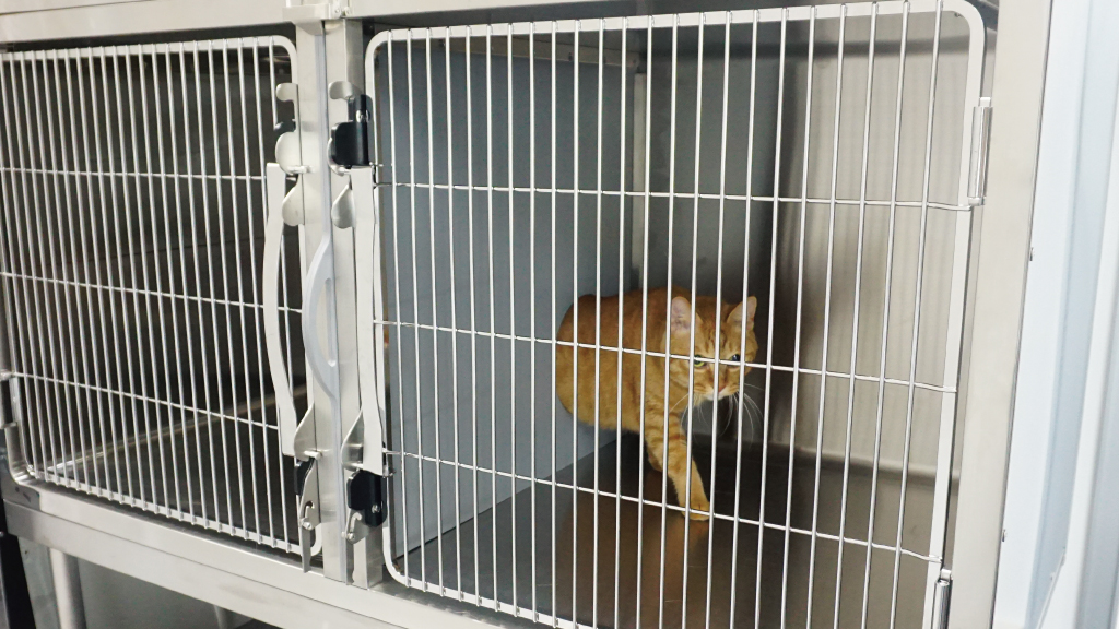 ミライケージ 猫用｜ステンレスケージ｜動物用医療機器メーカー東京