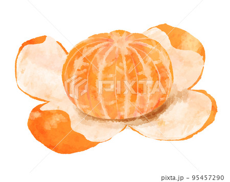 皮がむけているみかんのイラスト 手描き 水彩風のイラスト素材