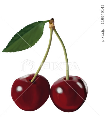 アメリカンチェリー（2個）葉付きのイラスト素材 [119949143] - PIXTA