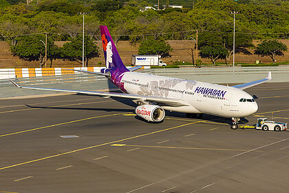 N378HA Hawaiian Airlines Airbus A330-200 | Planespotters.net